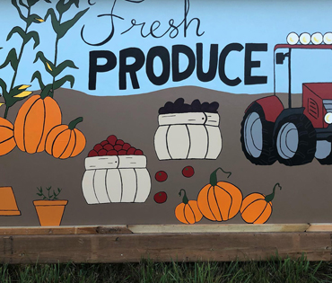 zicari, zicari greenhouse, zicari greenhouses, bedding plants, market, greenhouse dunnvile, ON, lowbanks, microgreens, garden vegetables, vegetable market, season vegetables